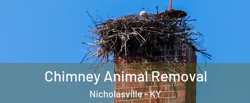 Chimney Animal Removal Nicholasville - KY