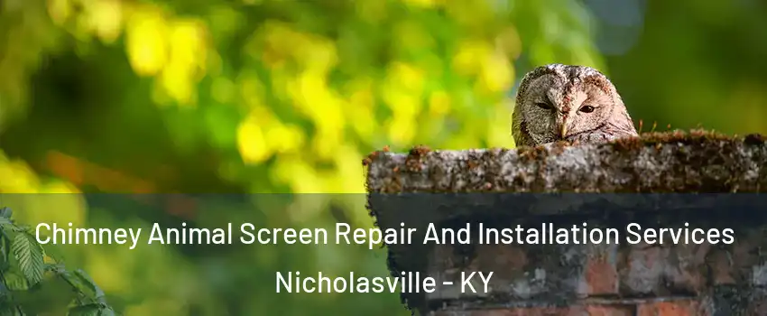  Chimney Animal Screen Repair And Installation Services Nicholasville - KY