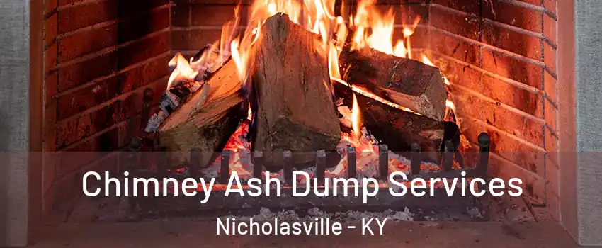  Chimney Ash Dump Services Nicholasville - KY