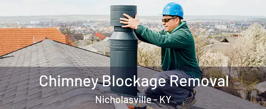  Chimney Blockage Removal Nicholasville - KY