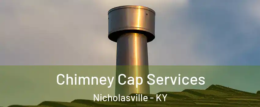  Chimney Cap Services Nicholasville - KY