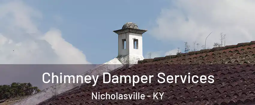  Chimney Damper Services Nicholasville - KY
