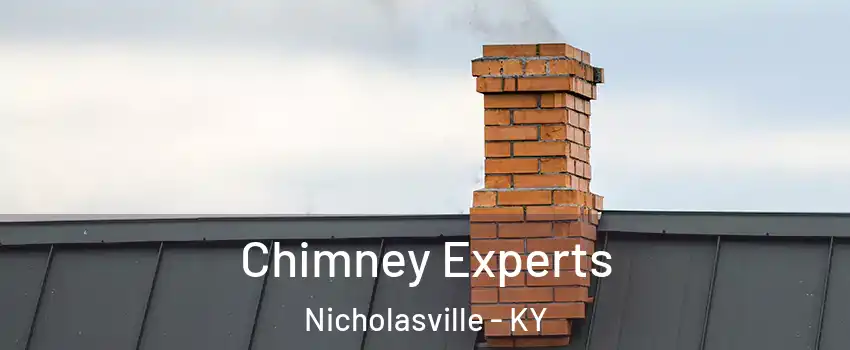  Chimney Experts Nicholasville - KY