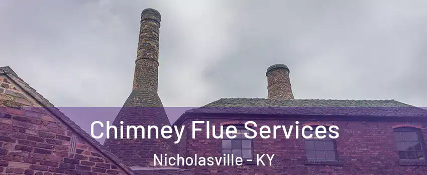  Chimney Flue Services Nicholasville - KY