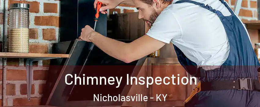  Chimney Inspection Nicholasville - KY