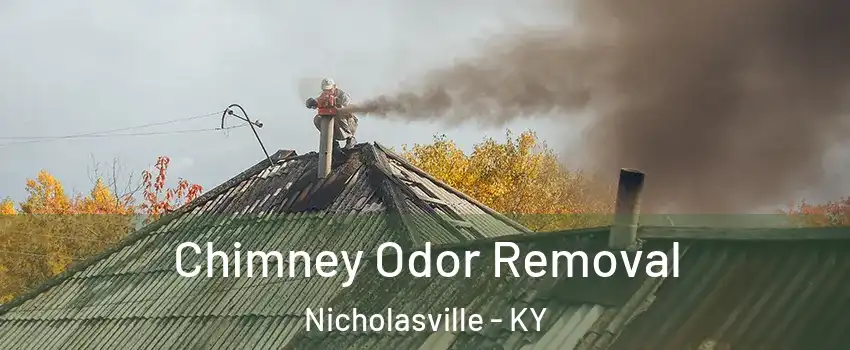  Chimney Odor Removal Nicholasville - KY