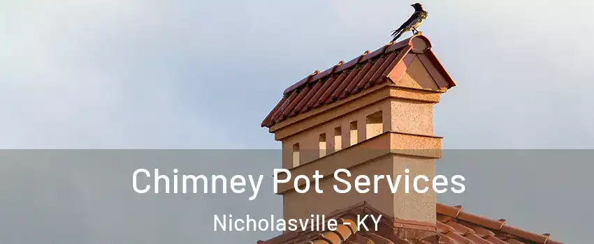  Chimney Pot Services Nicholasville - KY