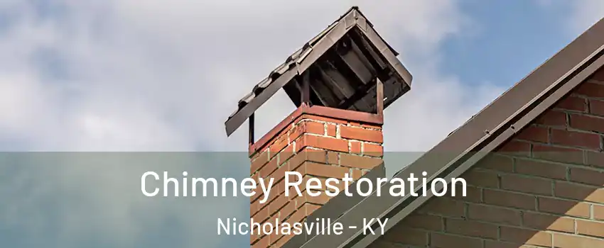  Chimney Restoration Nicholasville - KY