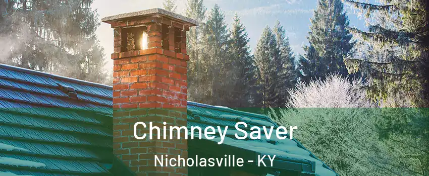  Chimney Saver Nicholasville - KY