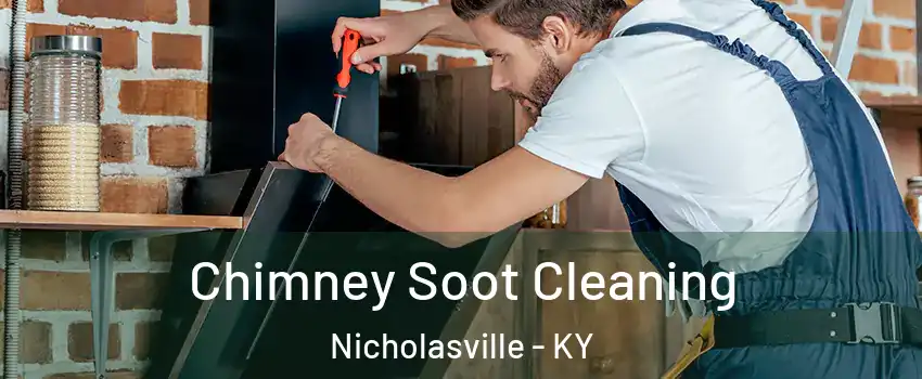  Chimney Soot Cleaning Nicholasville - KY