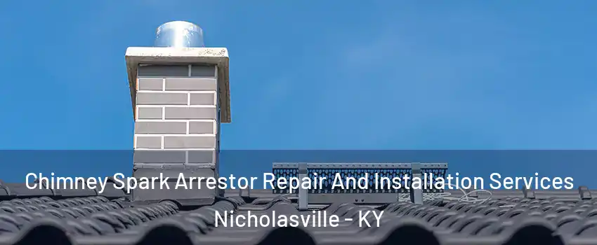  Chimney Spark Arrestor Repair And Installation Services Nicholasville - KY