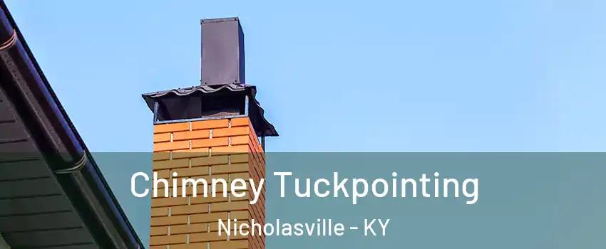  Chimney Tuckpointing Nicholasville - KY
