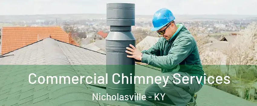  Commercial Chimney Services Nicholasville - KY