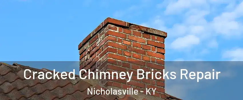  Cracked Chimney Bricks Repair Nicholasville - KY