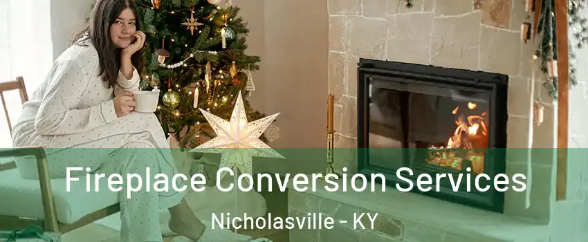  Fireplace Conversion Services Nicholasville - KY