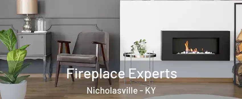  Fireplace Experts Nicholasville - KY