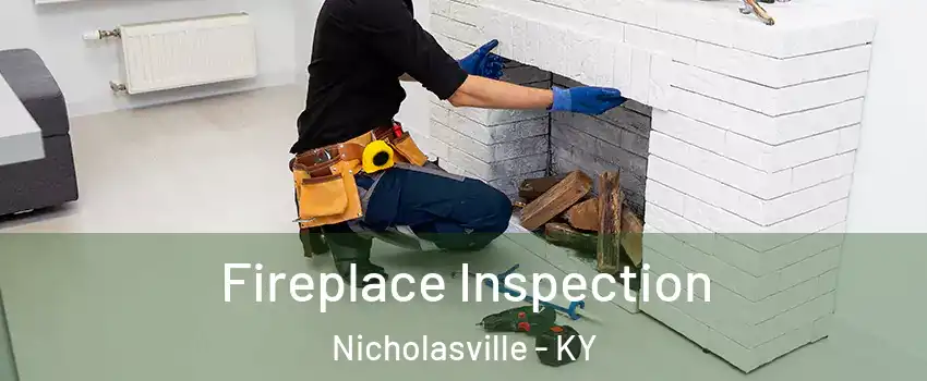  Fireplace Inspection Nicholasville - KY
