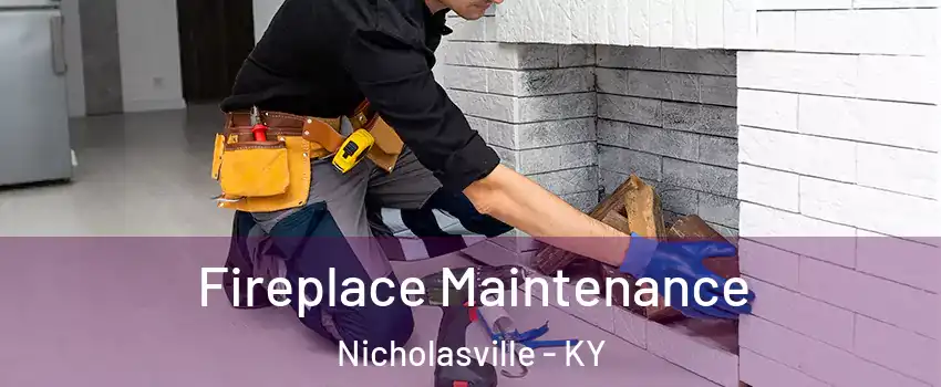  Fireplace Maintenance Nicholasville - KY