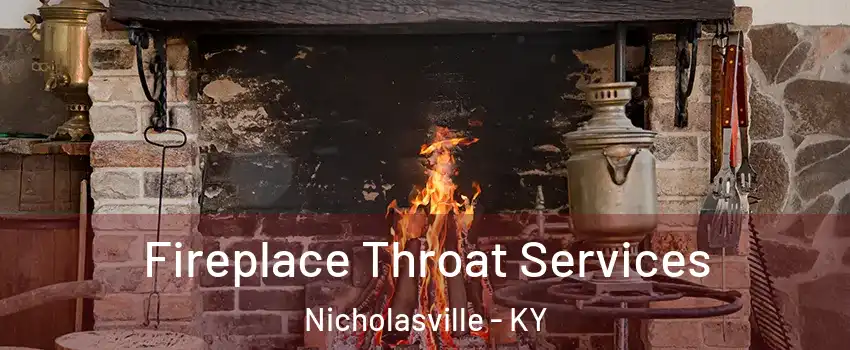  Fireplace Throat Services Nicholasville - KY
