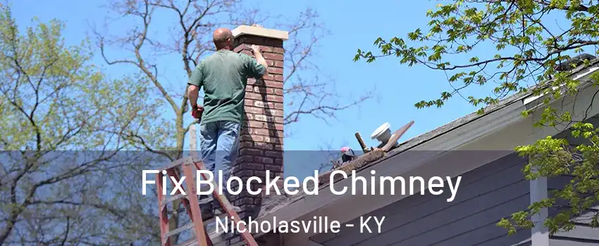 Fix Blocked Chimney Nicholasville - KY