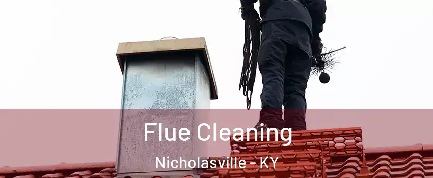  Flue Cleaning Nicholasville - KY