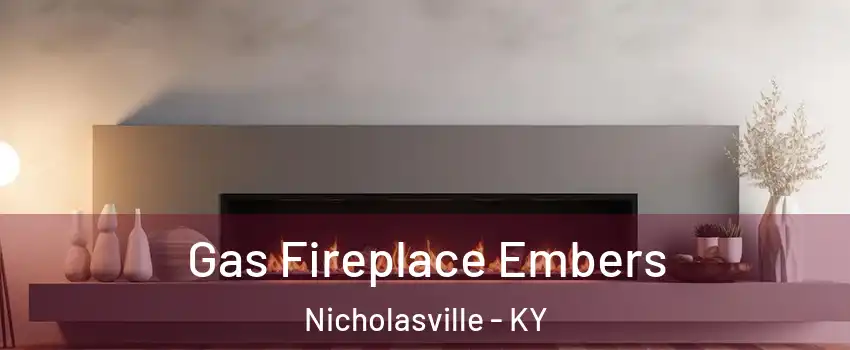  Gas Fireplace Embers Nicholasville - KY