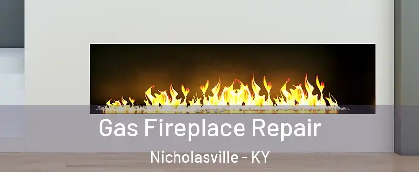  Gas Fireplace Repair Nicholasville - KY