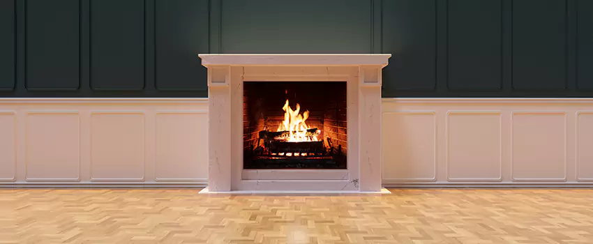 Napoleon Electric Fireplaces Inspection Service in Nicholasville, Kentucky