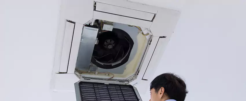 Benefits of Professional Air Duct Cleaning in Nicholasville, Kentucky