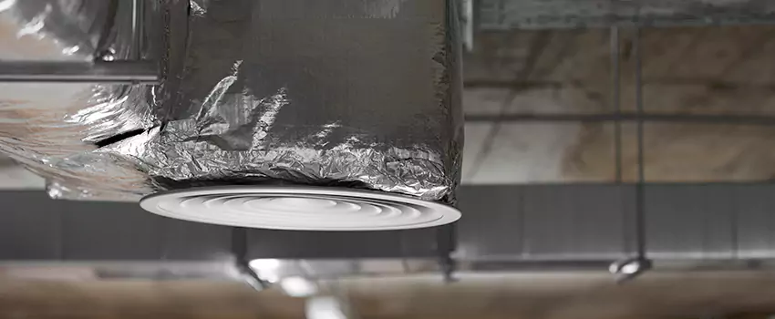 Signs of Dust Accumulation in Vents in Nicholasville, KY