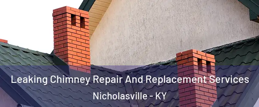  Leaking Chimney Repair And Replacement Services Nicholasville - KY