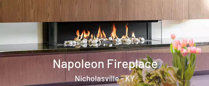  Napoleon Fireplace Nicholasville - KY