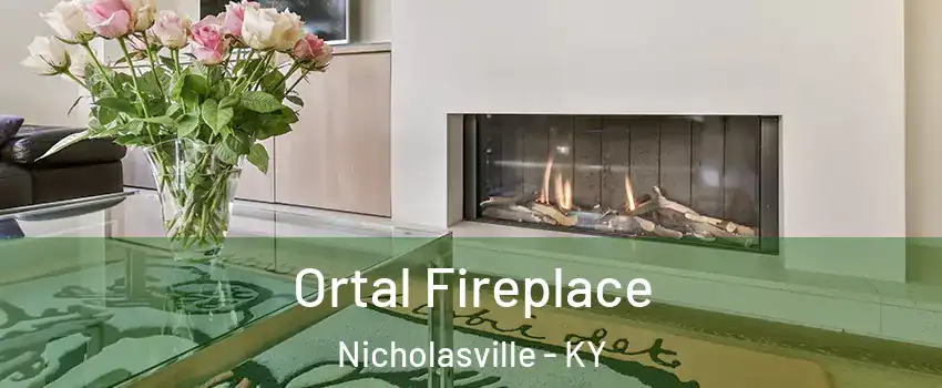 Ortal Fireplace Nicholasville - KY