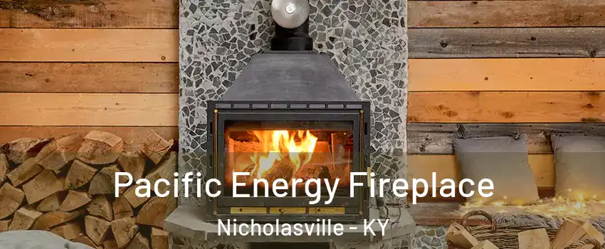  Pacific Energy Fireplace Nicholasville - KY