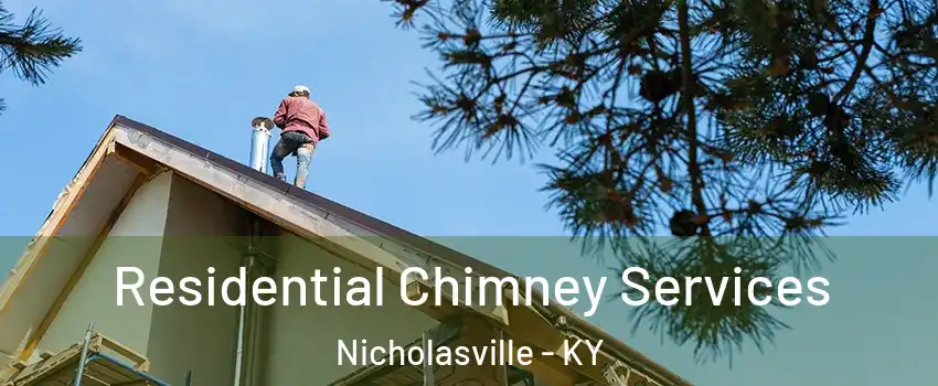  Residential Chimney Services Nicholasville - KY